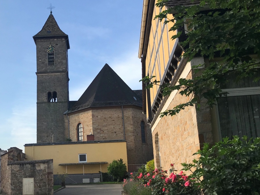Schöne Rosen im Pfarrhof Hochdorf